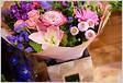 Find Local Florists Flower Shops Interflora Florists Interflor